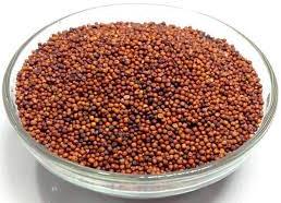 Ragi Seeds