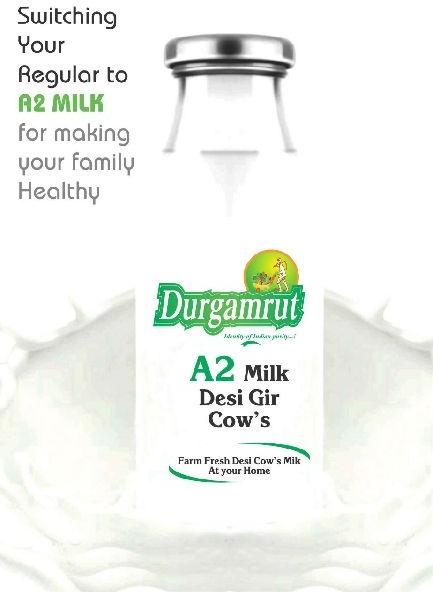 Desi Gir Cow Milk, for Making Tea, Sweet, Form : Liquid