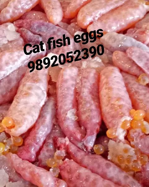 Cat Fish Eggs, Color : Red-Creamy