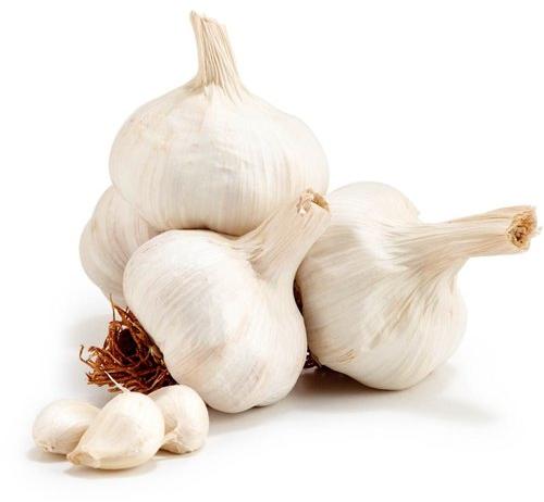 Organic Fresh Natural Garlic, for Cooking, Fast Food, Snacks, Packaging Type : Net Bags