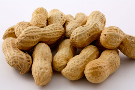 Organic Shelled Peanuts, for Making Oil, Making Snacks, Feature : Excellent Source Of Nutrients, Longer Shelf Life