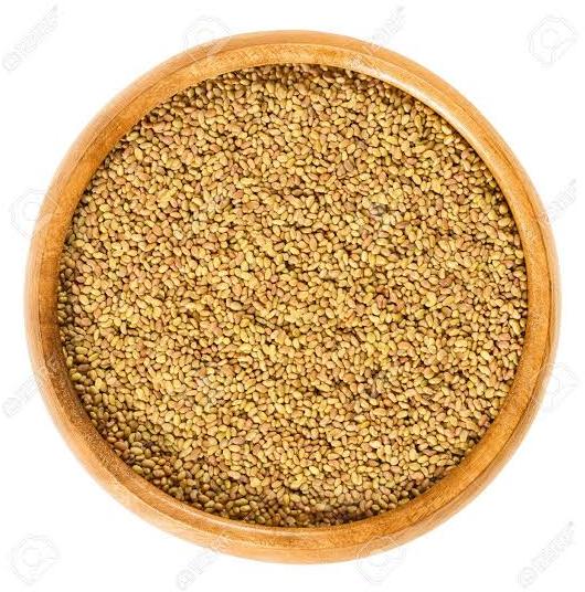Lucerne Seeds, for Agriculture, Cooking, Food, Style : Dried