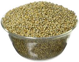 Pearl Millet Seeds, Packaging Type : Gunny Bag, Plastic Bag