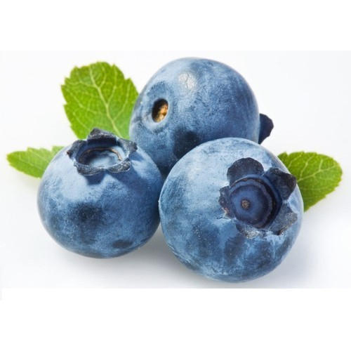 Fresh Blueberry Manufacturer in Delhi India by MM Fruits and Vegetable