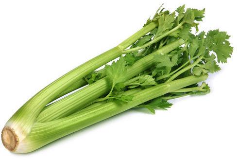 Fresh Celery, Shelf Life : 3-5days