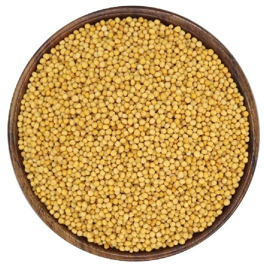 Organic Mustard Seeds, Packaging Size : 1-10 Kg