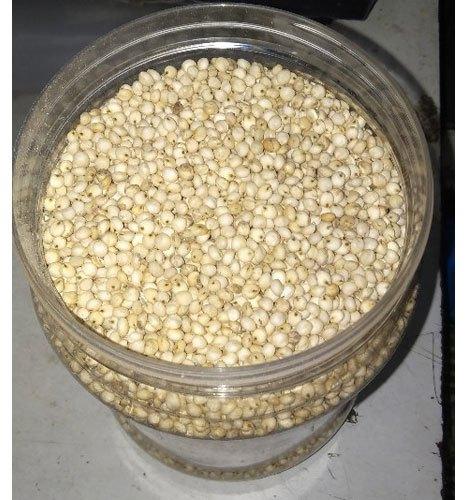 Nature Whole Soybean, for Organic, Feature : High Nutritional Value, Low In Saturated Fat, Low Moisture