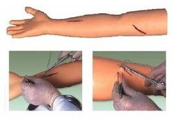 Surgical Suturing Arm model, Color : Natural