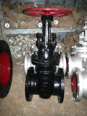 Zeal Stainless Steel Gate Valves,