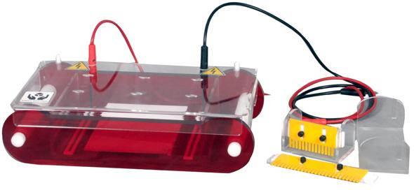 Horizontal Electrophoresis Systems