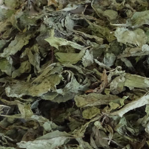 Mint Dried Leaves