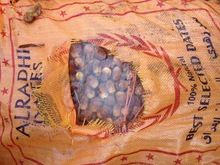 Open Air Dates Khajoor, Packaging Type : Bulk for Sweet