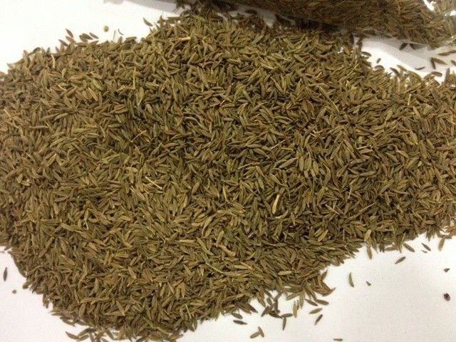 Syrian Cumin Seed