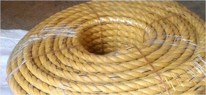 Rk PP Danline Ropes - Commercial Quality