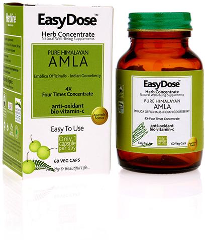 Amla 4X - Anti-Oxidant / Bio Vit. C Herbal Syrup
