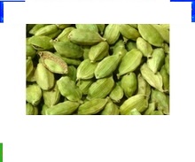 green cardamom