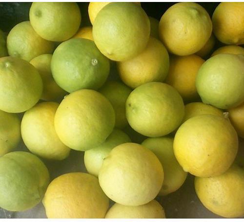 Organic Fresh Natural Lemon, Taste : Sour
