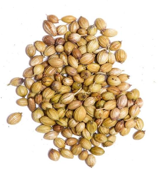 Organic Natural Coriander Seeds, Color : Brown