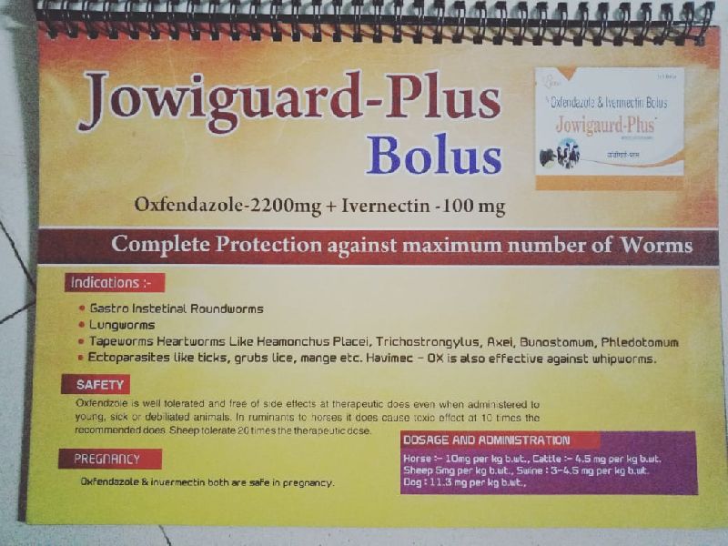 Jowiguard Bolus, for Useful animal digestive system