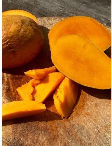 Frozen Alphonso Mango Slices, Taste : Sweet