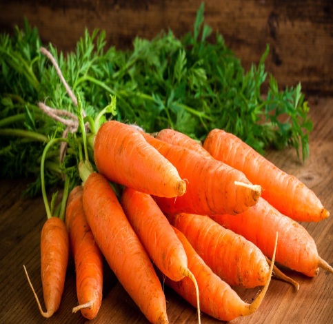 Natural Carrots, for Food, Pickle, Taste : Sweet