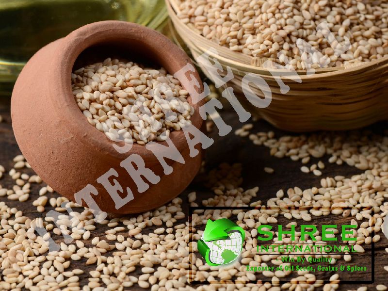 Organic Natural Sesame Seeds, for Animal Feed, Variety : NON-GMO