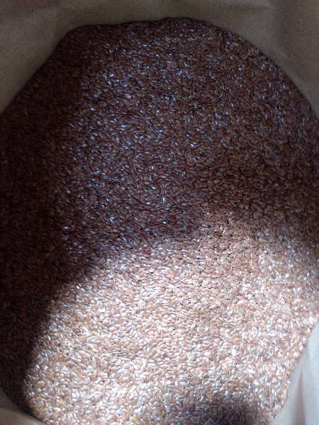 Common Organic Brown Flax Seeds, Shelf Life : 2yrs