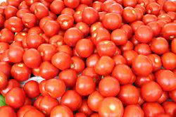 tomato