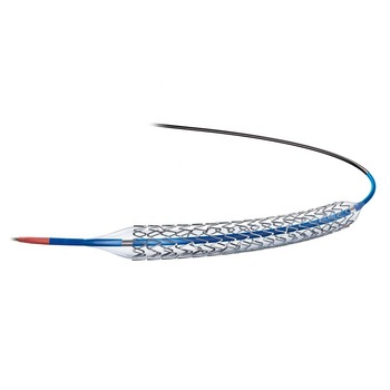 Free Sample Coronary Stent Systems