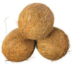 Common semi husked coconut, Shelf Life : 3months