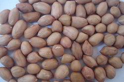 Java Peanut Kernels