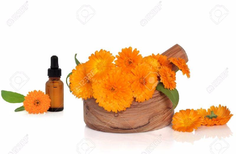 Herbal Export Flowers Calendula Essential Oil