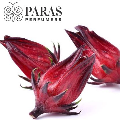 Paras Perfumers Hibiscus Seed Oil, Certification : FDA, GMP, MSDS, ISO, HALAL, USDA Organic