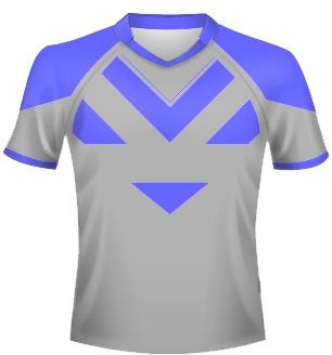 3D Sublimation Sports Team T Shirt at Best Price in Tirupur