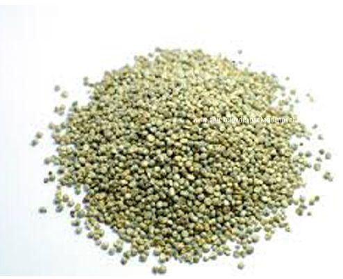 Natural Common Pearl Millet, for Cattle Feed, Packaging Type : Gunny Bag