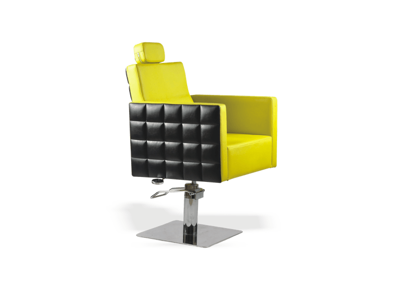 Multipurpose Styling Chair at Best Price in Manesar ESTHETICA SPA