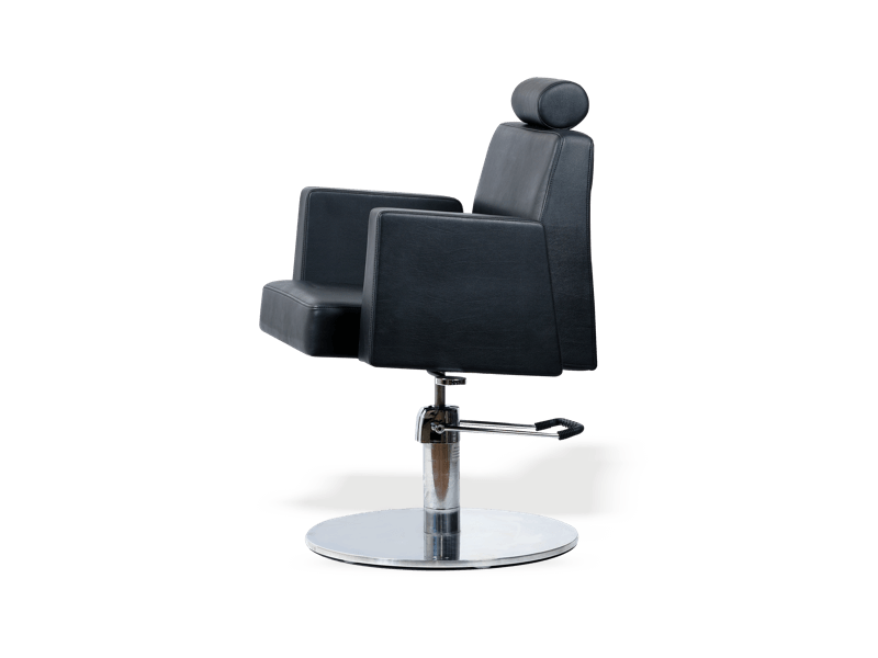 straightline design Multipurpose Styling Chair at Best Price in