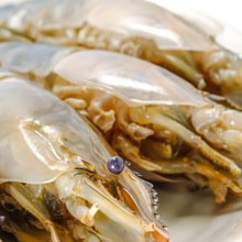 bio product specific for aquaculture tiger shrimp meal