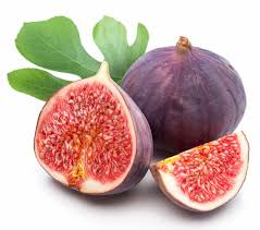 fresh fig