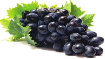 fresh black grapes