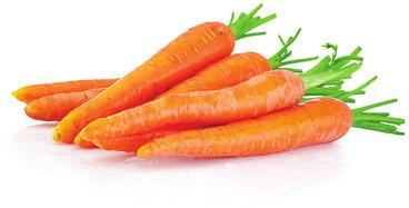 Fresh Carrot