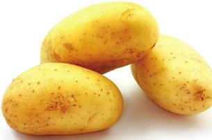 Fresh New Potato