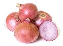 Fresh Organic Onion, Shelf Life : 1month