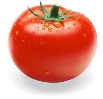 Organic Fresh Red Tomato, Shelf Life : 3-7days
