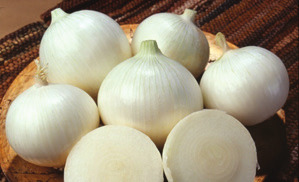 Oval Organic Fresh White Onion, Packaging Type : Gunny Bags, Net Bags, Plastic Bag