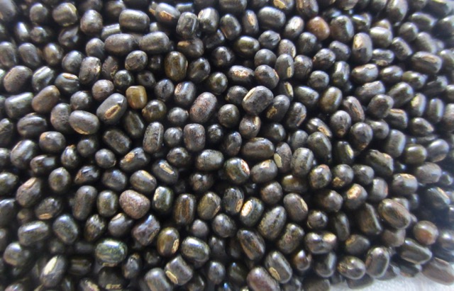 Common Whole Urad Dal, Style : Dried