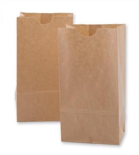 Plain Without Handle Paper Bags