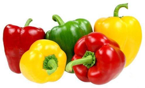 Oval Fresh Organic Capsicum, Color : Green, Red, Yellow