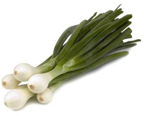 Fresh Organic Spring Onion, for Human Consumption