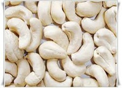 Raw Cashew Nut